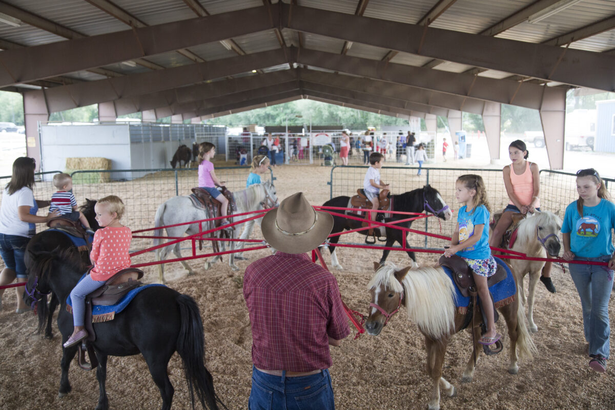 Davis fair opens with bunnies, princesses | News, Sports, Jobs ...